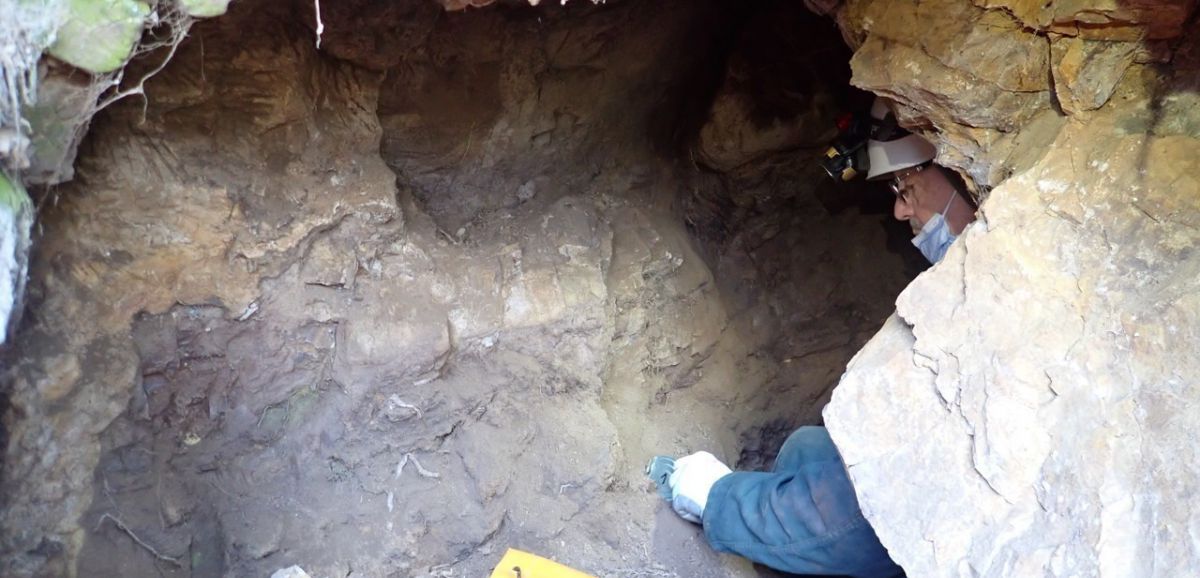 Montsûrs. En Mayenne : une grotte a été découverte à Montsûrs