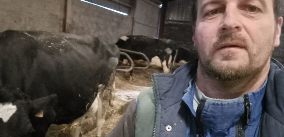 Insolite. Un agriculteur de Haute-Marne a appelé sa vache "Mayenne"