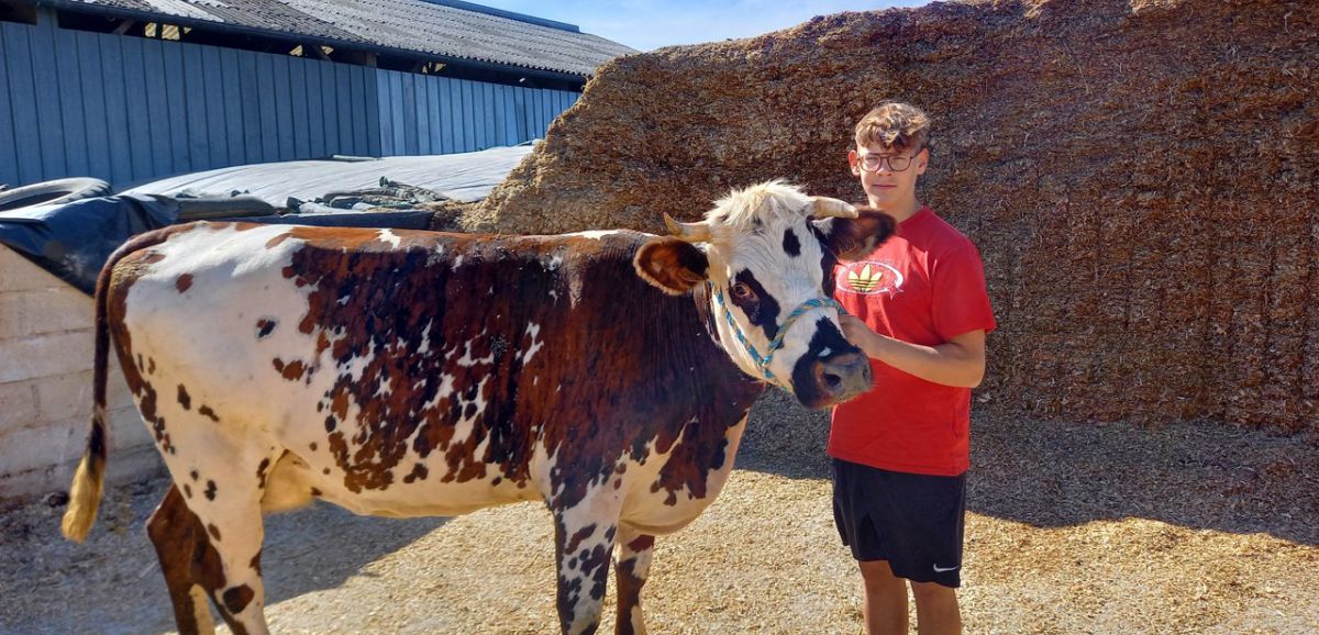 Mayenne. Éleveurs à Mayenne, ils présentent leur première vache au Cima 53, pendant la fête de la Madeleine