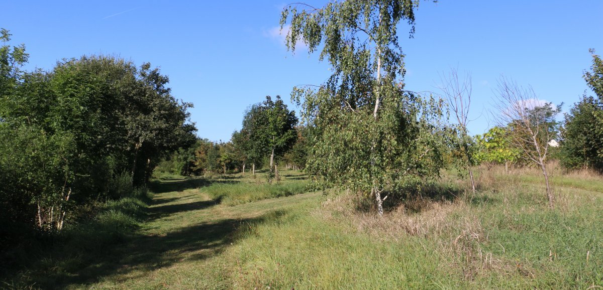 Meslay. Un espace vert de 1,5 hectare labellisé