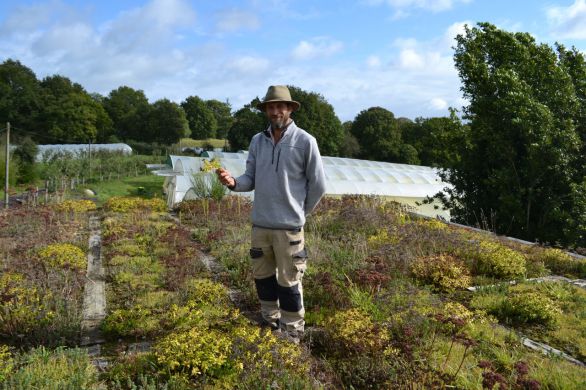 Parigné-sur-Braye. Pour conserver ses légumes, un maraîcher mayennais a végétalisé son toit