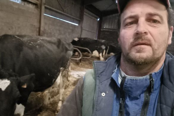 Insolite. Un agriculteur de Haute-Marne a appelé sa vache "Mayenne"