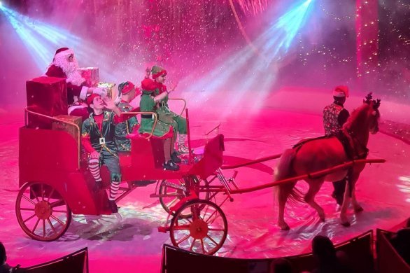 Laval. Le Grand cirque de Noël Nicolas Zavatta du 23 décembre au 7 janvier