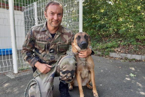 En Mayenne. La chienne de gendarmerie Padmé honorée par une médaille d'argent pour acte de courage et de dévouement