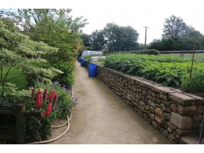 Ce week-end, Michel Gougeon accueillera les visiteurs chez lui à Martigné-sur-Mayenne pour faire découvrir ses pratiques de jardinage au naturel.