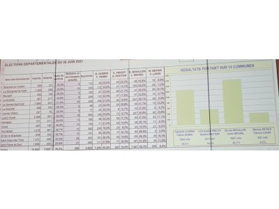 Les résultats du premier tour dans le canton de Loiron.