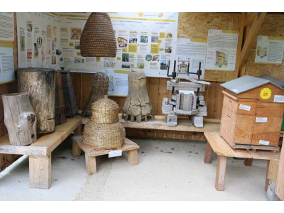 Les visiteurs pourront découvrir les différents types de ruches utilisés depuis la domestication de l’abeille.