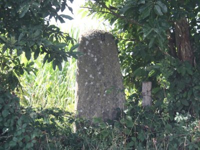 La stèle gauloise de Couesmes-Vaucé. - Nicolas Campitelli