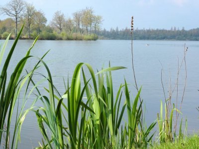 JUVIGNE. Les 45 hectares d'eau de l'Etang Neuf sont classés en ZNIEFF - CDLM