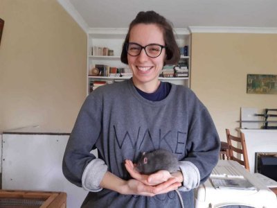 Rats, poules, buse, chèvres et boucs : l'association récupère et prend soin de nombreux animaux - Clémentine Marié