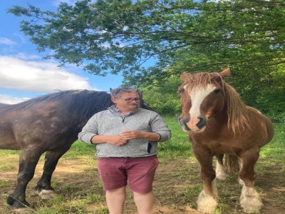 Le propriétaire possède 10 chevaux et 5 poneys pour assurer les balades à tous niveaux. - Clémentine Marié