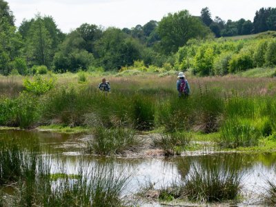 Les zones humides sont des sites à forte valeur ajoutée pour  la biodiversité tout comme les étangs, les tourbières, les prairies. - CDLM