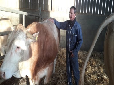 Jérôme Moulière avec un jeune taureau. - JL Petit