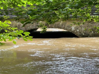 Le pont à la pisciculture. - Geneviève Charrier