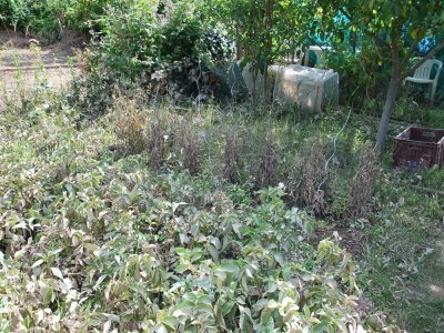 Des légumes couverts de boue et en pourriture - JL Petit