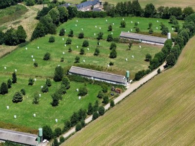 Deux des quatre bâtiments du domaine ont été fermés par le groupe Michel dont il dépend. - L214