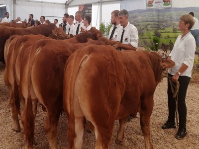 Quatre-vingts animaux et une vingtaine d'éleveurs étaient présents sur 165 animaux et 40 éleveurs attendus. - jb