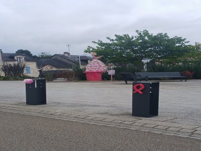 La ville est parée des couleurs d'Octobre rose. - Gilles Pécot