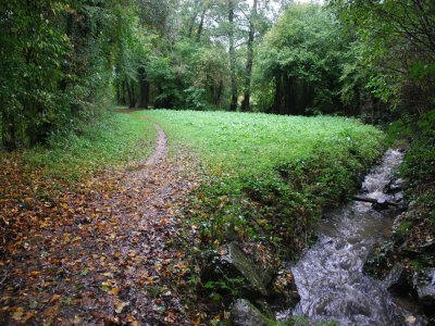 Un chemin de randonnée bocager de la Mayenne. - JL Petit