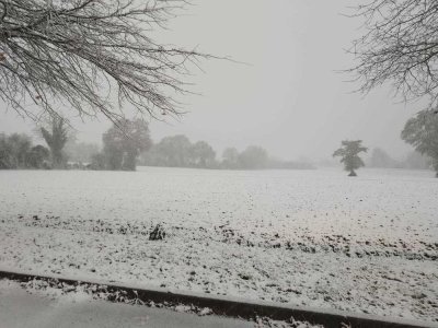 Dans le secteur de Martigné-sur-Mayenne, la neige a recouvert le paysage, donnant une teinte noire et blanche digne d'un vieux film. - DR