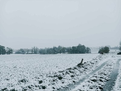 À Saint-Ellier-du-Maine, champs et chemins sont totalement recouverts. - Katia Péchard