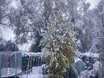 Depuis ce jardin dans la commune de La Chapelle-Anthenaise, on ne voyait presque plus rien… - Correspondant