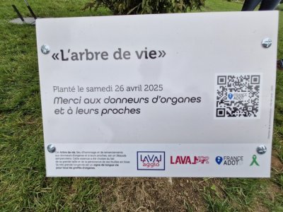 La plaque posée devant l'arbre au jardin de la Perrine. - Fred Martin