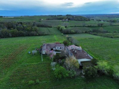 Le domaine de Château Peybrun, acquis par le Lavallois en octobre 2022. - Guillaume Ruiz