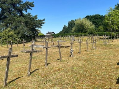 Vue générale du cimetière hospitalier de Mayenne, un site historique de 4 500 m² abritant près de 400 tombes datant du XIXe siècle. - Naomie Jourand