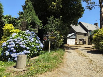Le potager se trouve au 20 de la voie de l'Aulnay. - Théo Duchet