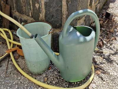 Les récipients d'eau stagnante peuvent devenir des nids à moustiques tigres. - Fred Martin