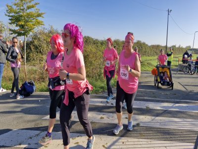 Vraiment tout en rose ! - Fred Martin