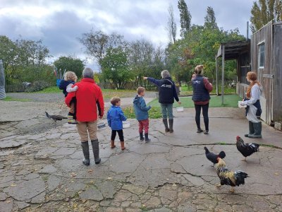 Grands-parents et petits-enfants heureux de partir à la rencontre des animaux. - Soleyne BLOSSIER-RALU