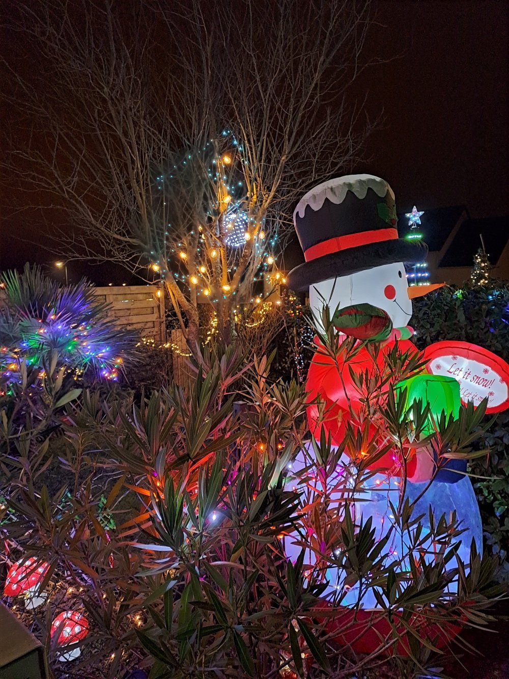 3- Comme chaque ann&eacute;e, la famille Paillard d&eacute;core sa maison pour No&euml;l. Le p&egrave;re de famille est l'homme de la situation pour transformer son jardin et sa fa&ccedil;ade en v&eacute;ritable village du p&egrave;re No&euml;l.