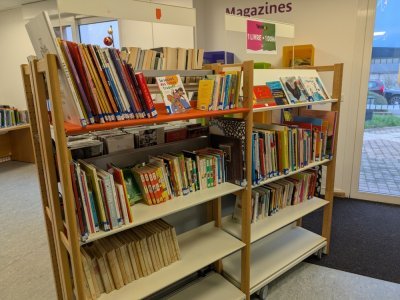 Une partie des livres mis en vente lors de cet &eacute;v&eacute;nement. - Benjamin Deglave